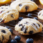 Blueberry Cookies Recipe