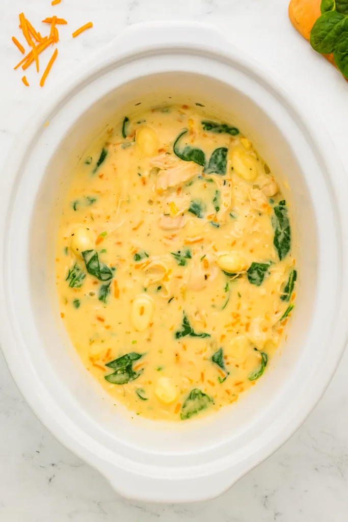 Crockpot Chicken Gnocchi Soup