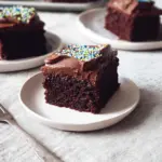 Simple Chocolate Sheet Cake